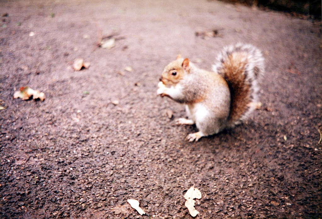 1996 - Angleterre 09.jpg